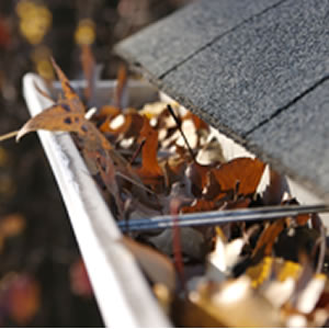 Gutter Cleaning Kansas City